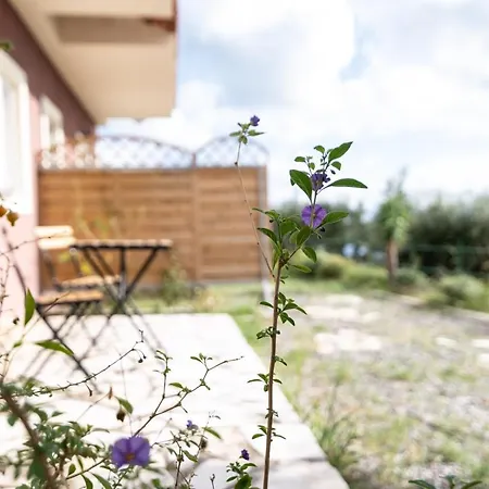 Lorraine's Style Studios, Shared Swimming Pool And Bbq Only For Guests At Simotata Village Lourdata (Kefalonia)