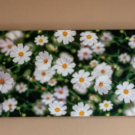 דירה Lorraine's Style Studios, Shared Swimming Pool And Bbq Only For Guests At Simotata Village *