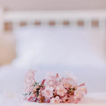 Lorraine's Style Studios, Shared Swimming Pool And Bbq Only For Guests At Simotata Village