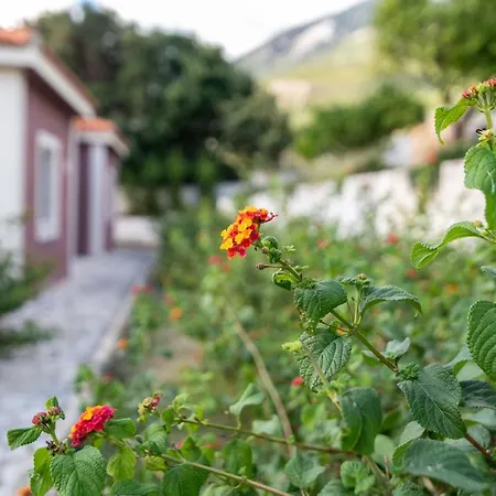 Lorraine's Style Studios, Shared Swimming Pool And Bbq Only For Guests At Simotata Village *