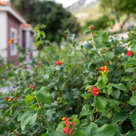 Lorraine's Style Studios, Shared Swimming Pool And Bbq Only For Guests At Simotata Village